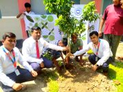 পলাশবাড়ীর গৃধারীপুর আদর্শ উচ্চ বিদ্যালয়ে সিটি ব্যাংকের বৃক্ষরোপণ কর্মসূচি
