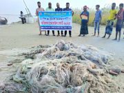 চরভদ্রাসন পদ্মা নদীতে মা ইলিশ রক্ষা অভিযান ১০ হাজার মিটার নিষিদ্ধ কারেন্ট জাল ও ৪ কেজি ইলিশ মাছ জব্দ